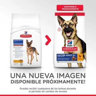 Hill's Science Plan Hill's Mature Adult 6+ Large Science Plan Con Pollo 4 Hill's Science Plan Hill's Mature Adult 6+ Large Science Plan Con Pollo - Imagen 2