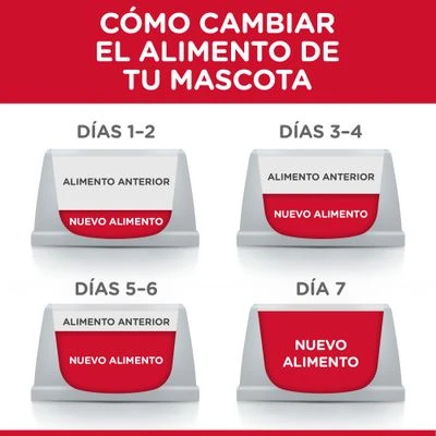 Hill's Science Plan Hill's Adult 1-6 Medium Science Plan Con Pollo 8 Hill's Science Plan Hill's Adult 1-6 Medium Science Plan Con Pollo - Imagen 6