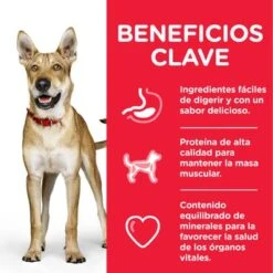 Hill's Science Plan Hill's Adult 1+ Perfomance Science Plan Con Pollo 13 Hill's Science Plan Hill's Adult 1+ Perfomance Science Plan Con Pollo -Mascota Tienda atf8 604383 key benefits 2