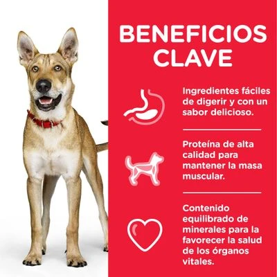 Hill's Science Plan Hill's Adult 1+ Perfomance Science Plan Con Pollo 7 Hill's Science Plan Hill's Adult 1+ Perfomance Science Plan Con Pollo - Imagen 5