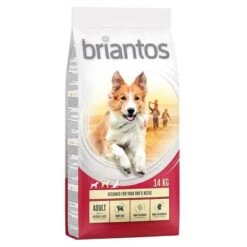Briantos Pienso Para Perros - Pack Ahorro -Mascota Tienda briantos adult chickenrice 14kg 1000x1000 9