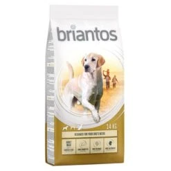 Briantos Pienso Para Perros - Pack Ahorro -Mascota Tienda briantos adult maxi chickenrice 14kg 1000x1000 2