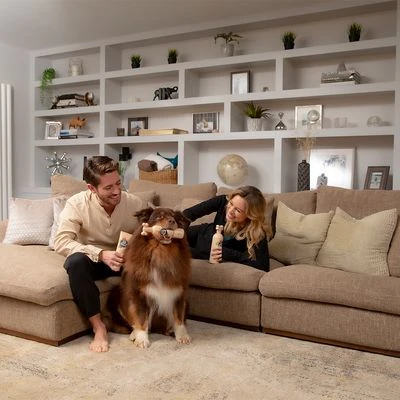 Pet Head Sensitive Soul Champú Para Perros 10 Pet Head Sensitive Soul Champú Para Perros - Imagen 8