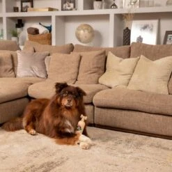 Pet Head Sensitive Soul Champú Para Perros 17 Pet Head Sensitive Soul Champú Para Perros -Mascota Tienda companyofanimals pethead sensitivesoul set3teilig hs 08 9 1