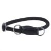 Collar Hunter Freestyle Para Perros -Mascota Tienda dsc8667 1