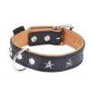 Collar De Cuero Heim Stars -Mascota Tienda dsc9109 4