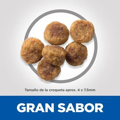 Hill's Science Plan Hill's Adult 1-6 Small & Mini Science Plan Con Cordero Y Arroz 5 Hill's Science Plan Hill's Adult 1-6 Small & Mini Science Plan Con Cordero Y Arroz - Imagen 3