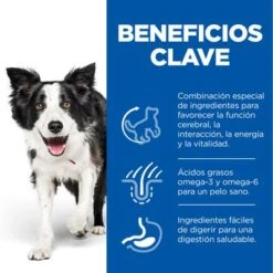 Hill's Science Plan Hill's Mature Adult 7+ Senior Vitality Medium Science Plan Con Pollo -Mascota Tienda es dog ma medium yv chicken transition benefits 6