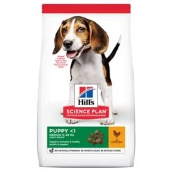 Hill's Science Plan Hill's Puppy <1 Medium Science Plan Con Pollo