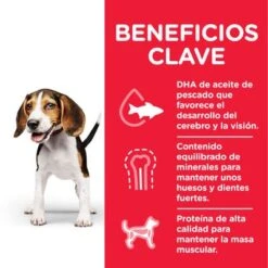 Hill's Science Plan Hill's Puppy <1 Medium Science Plan Con Pollo -Mascota Tienda es dog puppy medium chicken transition benefits jpg 1 1