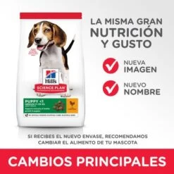 Hill's Science Plan Hill's Puppy <1 Medium Science Plan Con Pollo -Mascota Tienda es dog puppy medium chicken transition summary of changes 1 8