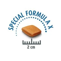 Concept For Life Bulldog Francés Adult -Mascota Tienda franz siche bulldogge krokette 2