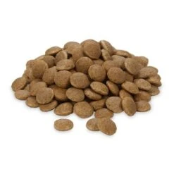 Greenwoods Insects Insectos Con Patata, Guisante Y Habas 13 Greenwoods Insects Insectos Con Patata, Guisante Y Habas -Mascota Tienda greenwoods insects 1 web 1