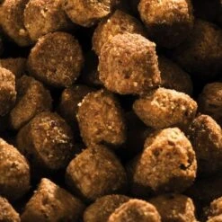 Happy Dog NaturCroq Para Cachorros 12 Happy Dog NaturCroq Para Cachorros -Mascota Tienda hd nc puppy1 8