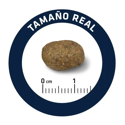 Advance Sensitive Con Cordero Y Arroz 9 Advance Sensitive Con Cordero Y Arroz - Imagen 7