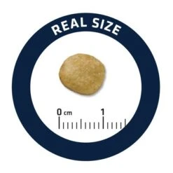 Advance Renal Veterinary Diets Para Perros 9 Advance Renal Veterinary Diets Para Perros -Mascota Tienda j 4 4