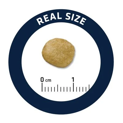 Advance Renal Veterinary Diets Para Perros 5 Advance Renal Veterinary Diets Para Perros - Imagen 3