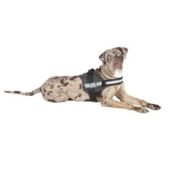 Julius K9 Arnés JULIUS-K9® Power Antracita Para Perros -Mascota Tienda juliusk9 powergeschirr anthrazit 1
