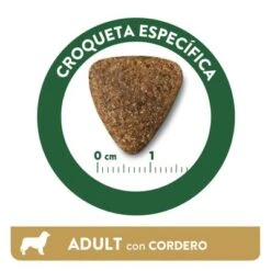Affinity Libra Adult Con Cordero Pienso Para Perros 10 Affinity Libra Adult Con Cordero Pienso Para Perros -Mascota Tienda kibble libra dog adult lamb es 0