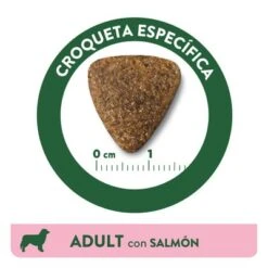 Affinity Libra Adult Con Salmón Pienso Para Perros 11 Affinity Libra Adult Con Salmón Pienso Para Perros -Mascota Tienda kibble libra dog adult salmon es 3