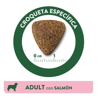 Affinity Libra Adult Con Salmón Pienso Para Perros 6 Affinity Libra Adult Con Salmón Pienso Para Perros - Imagen 4