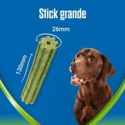 PURINA Dentalife Active Fresh Snacks Dentales Para Perros Grandes -Mascota Tienda l 1 6