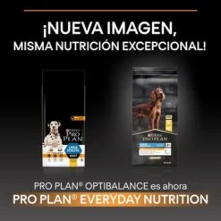 PURINA PRO PLAN Large Athletic Adult Everyday Nutrition -Mascota Tienda la 14 4