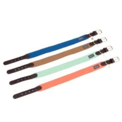 Collar Nomad Tales Bloom Menta Para Perros -Mascota Tienda nomad tales bloom halsbaender fg 1487 7