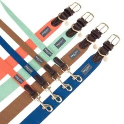 Collar Nomad Tales Bloom Menta Para Perros -Mascota Tienda nomad tales bloom halsbaender fg 1502 2