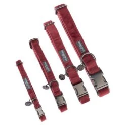 Collar Nomad Tales Blush Vino Para Perros 32 Collar Nomad Tales Blush Vino Para Perros -Mascota Tienda nomad tales blush halsbaender fg 1317 0