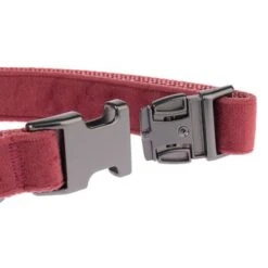 Collar Nomad Tales Blush Vino Para Perros 25 Collar Nomad Tales Blush Vino Para Perros -Mascota Tienda nomad tales blush halsbaender fg 1323 7