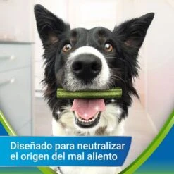 PURINA Dentalife Active Fresh Snacks Dentales Para Perros Medianos -Mascota Tienda objective 8