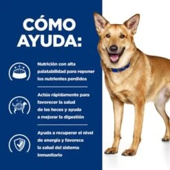 Hill's I/d Prescription Diet Latas Para Perros -Mascota Tienda pd id dog bk30978m bk31617 bk30920 how helps es 6