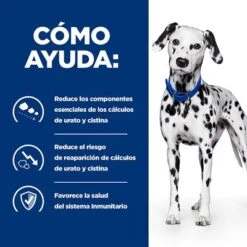 Hill's U/d Prescription Diet Urinary Care Pienso Para Perros -Mascota Tienda pd ud dog bk24705m bk31642 how helps es 2