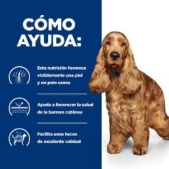 Hill's Prescription Diet Z/d Food Sensitivities 17 Hill's Prescription Diet Z/d Food Sensitivities -Mascota Tienda pd zd dog bk30873m bk30972 how helps es 8