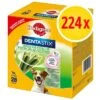 Pack 224 Uds. Pedigree Dentastix Fresh Snacks Para Perros -Mascota Tienda pedigree dentastix fresh 8