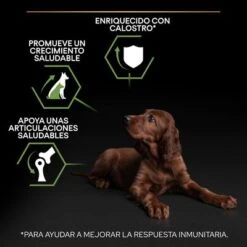 PURINA PRO PLAN Large Athletic Puppy Healthy Start -Mascota Tienda pu benefit tile m2 healthy start 1 2500x2500px 221229 1 1673334810874 8