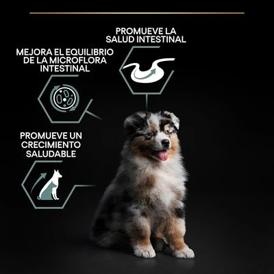 Purina Pro Plan Medium Puppy Sensitive Digestion Cordero Y Arroz - Imagen 6