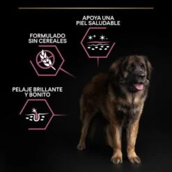 PURINA PRO PLAN Large Robust Adult Sensitive Skin Salmón -Mascota Tienda pu benefit tile m2 sensitive skin 1 2500x2500px 221229 1 1