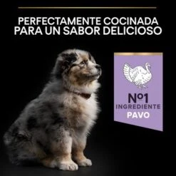 PURINA PRO PLAN All Sizes Puppy Sensitive Digestion Sin Cereales Con Pavo -Mascota Tienda pu proplan dog sdgrainfree allsize flavour 0