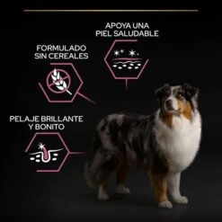 PURINA PRO PLAN Medium & Large Adult 7+ Sensitive Skin -Mascota Tienda pu proplan dog senstvskin benefittile 8