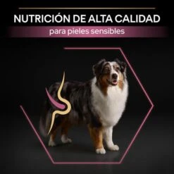 PURINA PRO PLAN Medium & Large Adult 7+ Sensitive Skin -Mascota Tienda pu proplan dog senstvskin productdesc 3
