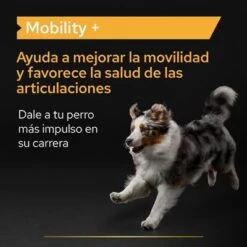 PRO PLAN Dog Adult Mobility Supplement En Polvo -Mascota Tienda pu supplementals atf mobility a 220513 es es 6