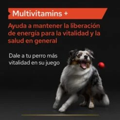 PRO PLAN Dog Adult Multivitamins Supplement Comprimidos -Mascota Tienda pu supplementals atf multivitamins dog a 220513 es es 9