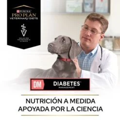 Purina Pro Plan DM Diabetes Veterinary Diets 18 Purina Pro Plan DM Diabetes Veterinary Diets -Mascota Tienda puppvdddppvdm22endoles 220629 1 1656654162025 5