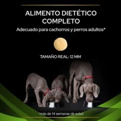 Purina HA Hypoallergenic Veterinary Diets Pienso Para Perros 17 Purina HA Hypoallergenic Veterinary Diets Pienso Para Perros -Mascota Tienda puppvdddppvha22ksizles 220629 1 1656985195811 7