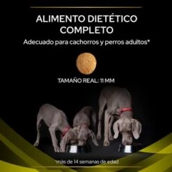 Purina Pro Plan HP Hepatic Veterinary Diets 16 Purina Pro Plan HP Hepatic Veterinary Diets -Mascota Tienda puppvdddppvhp22ksizles 221017 1 1 8