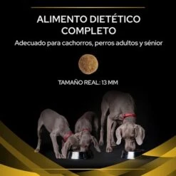 Purina JM Joint Mobility Pienso Para Perros 19 Purina JM Joint Mobility Pienso Para Perros -Mascota Tienda puppvdddppvjm22ksizles 220629 1 1656985195811 6