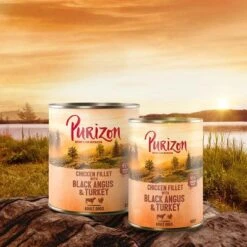 Purizon Adult 12 X 400 G Comida Húmeda Sin Cereales Para Perros -Mascota Tienda purizon idcard wet blackangus 1000x1000 3