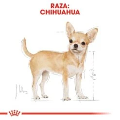 Royal Canin Breed Chihuahua Mousse 12 Royal Canin Breed Chihuahua Mousse -Mascota Tienda rc bhn wet chihuahua cv eretailkit 1 es es 1 1